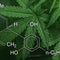 CBD